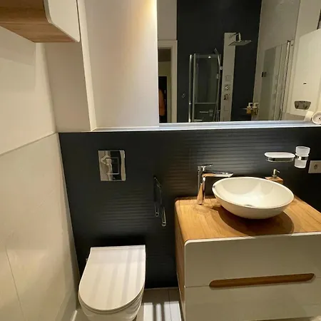 Narutowicza Apartments * كاتوفيتسه